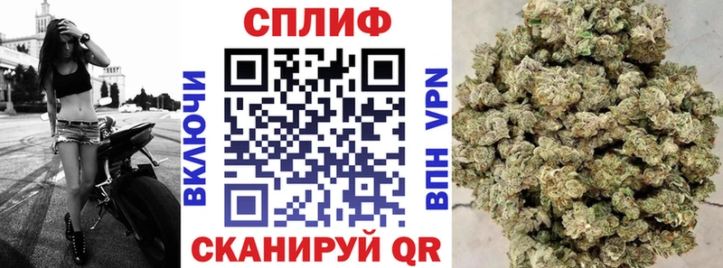 Купить наркотик аптеки Сегежа Псилоцибиновые грибы Меф ГАШИШ Канабис