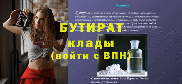 шишки Арсеньев