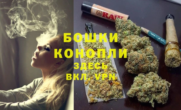 Альфа ПВП Аркадак