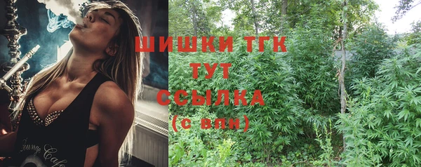 Альфа ПВП Аркадак
