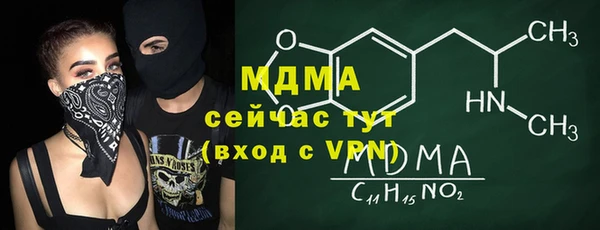 шишки Арсеньев