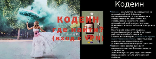 шишки Арсеньев