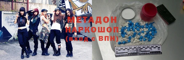 шишки Арсеньев