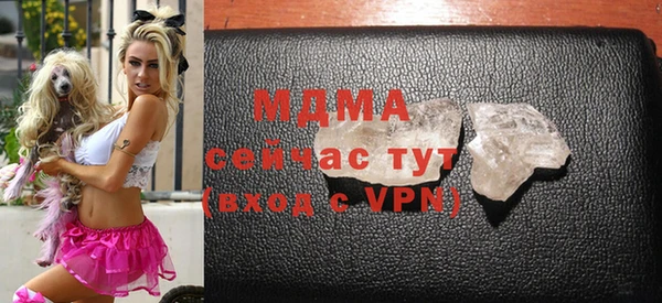 шишки Арсеньев