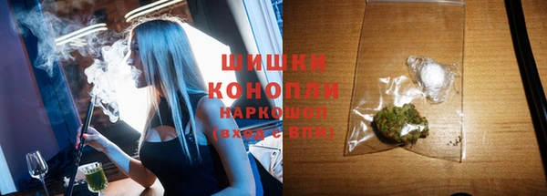 Альфа ПВП Аркадак
